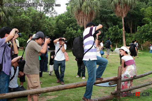 定格南国风光 尼康2012外拍活动福州站